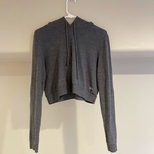 Alo Yoga Cropped Hoodie